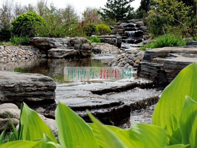 中央財(cái)經(jīng)大學(xué)2016年招生簡章