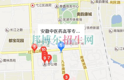 安徽中醫(yī)藥高等?？茖W校