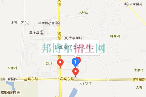 益陽(yáng)醫(yī)學(xué)高等?？茖W(xué)校
