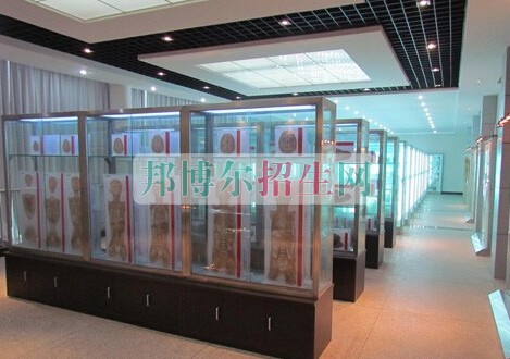 益陽醫(yī)學高等?？茖W校