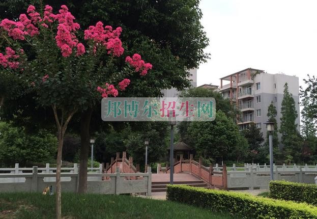 成都有什么好的計算機應(yīng)用技術(shù)學校