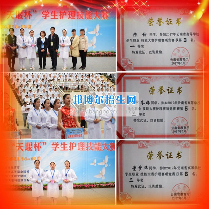 云南新興職業(yè)學院學生參加2017年全國、全省技能大賽斬獲佳績