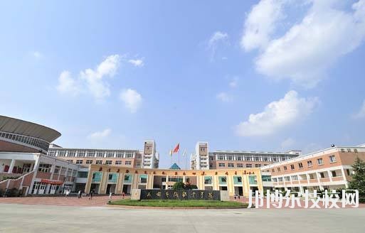 學(xué)院校園占地面積1000余畝，學(xué)院校本部地處成都南郊著名牧馬山風(fēng)景旅游區(qū)，校本部占地面積516畝，建筑面積12.05萬(wàn)平方米，距市區(qū)30分鐘車程。新校區(qū)位于眉山市青神縣。校園風(fēng)光秀麗，各種生活設(shè)施齊備，建有游泳池、校園網(wǎng)、校園商業(yè)區(qū)和高標(biāo)準(zhǔn)橡膠運(yùn)動(dòng)場(chǎng)。學(xué)院在校學(xué)生近8000人。  學(xué)院面向文化創(chuàng)意產(chǎn)業(yè)和城市化建設(shè)，秉持“礪志尚美，躬行日新”的校訓(xùn)，為社會(huì)培養(yǎng)藝術(shù)類為主的高素質(zhì)人才上萬(wàn)名，被譽(yù)為西部地區(qū)應(yīng)用型設(shè)計(jì)師的搖籃。青神校區(qū)占地規(guī)劃為800畝，計(jì)劃3年之內(nèi)全部建成，容納在校學(xué)生6000人。校園建設(shè)除了具有藝術(shù)特色的教室、實(shí)訓(xùn)室、辦公大樓、學(xué)生公寓外，還將建設(shè)高標(biāo)準(zhǔn)的體育運(yùn)動(dòng)場(chǎng)、體育館和現(xiàn)代化的演藝大廳等，除了“成藝”原有的設(shè)計(jì)、表演、建筑經(jīng)管專業(yè)外，新專業(yè)有國(guó)家非物質(zhì)文化遺產(chǎn)—青神竹編工藝，還將開設(shè)為當(dāng)?shù)厣鐣?huì)經(jīng)濟(jì)發(fā)展所需要的機(jī)械制造等專業(yè)。預(yù)計(jì)2016年9月正式投入使用。