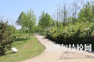 石家莊中英航空中等專業(yè)學(xué)校2020年報(bào)名條件、招生要求、招生對(duì)象