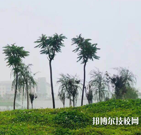 甘肅財貿(mào)職業(yè)學院2020年學費、收費多少