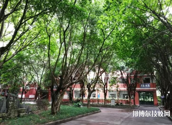 重慶舞蹈學(xué)校2020年報(bào)名條件、招生要求、招生對(duì)象