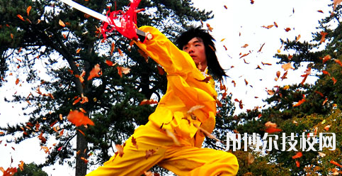 平?jīng)鲠轻嘉奈鋵W(xué)校2020年報(bào)名條件、招生要求、招生對(duì)象