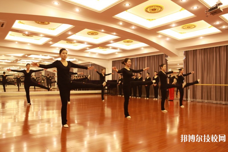 滄州職業(yè)技術(shù)學(xué)院2020年報(bào)名條件、招生要求、招生對(duì)象