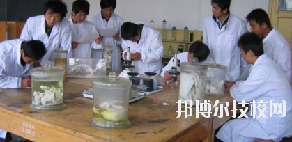 臨夏農(nóng)業(yè)學(xué)校2020年學(xué)費、收費多少