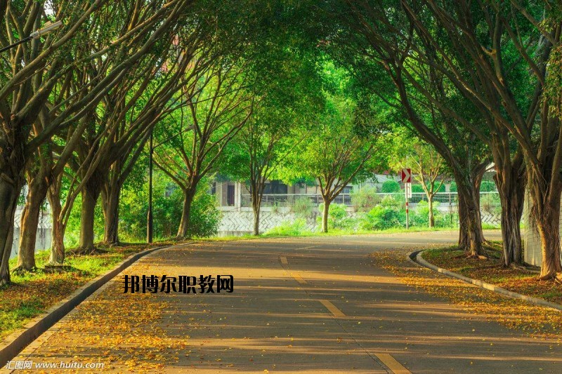 仙桃金園職業(yè)高級中學2020年報名條件、招生要求、招生對象