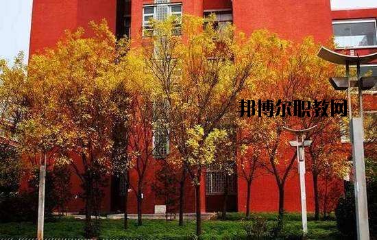 鶴峰職業(yè)技術(shù)學(xué)校2020年報(bào)名條件、招生要求、招生對(duì)象