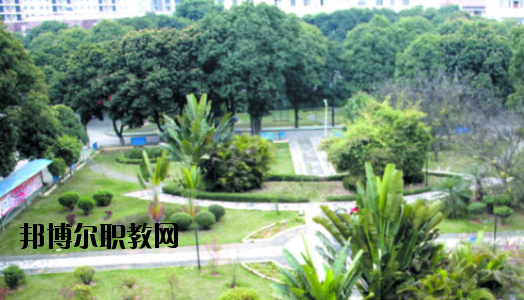 廣西百色農(nóng)業(yè)學(xué)校2020年報(bào)名條件、招生要求、招生對(duì)象 