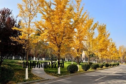 蘄春李時(shí)珍中等專(zhuān)業(yè)學(xué)校怎么樣、好不好
