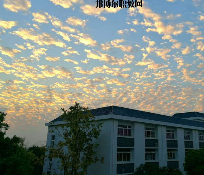 鄭州青年職業(yè)中等專業(yè)學校網站網址