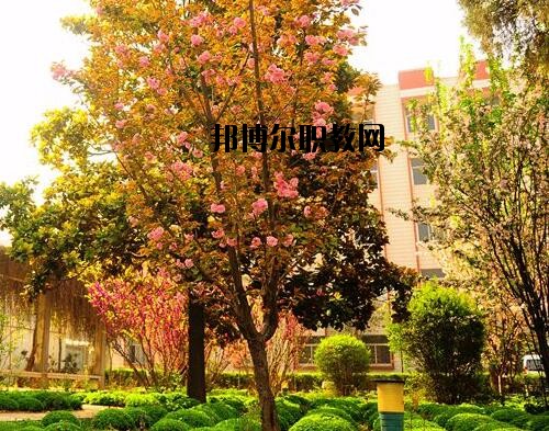 新鄉(xiāng)工業(yè)學校2021年報名條件、招生對象