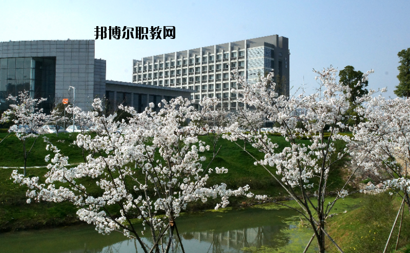 中國(guó)藥科大學(xué)2020年報(bào)名條件、招生要求、招生對(duì)象