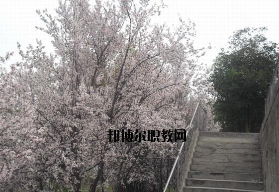 ?？德毥讨行膶W(xué)校網(wǎng)址網(wǎng)站