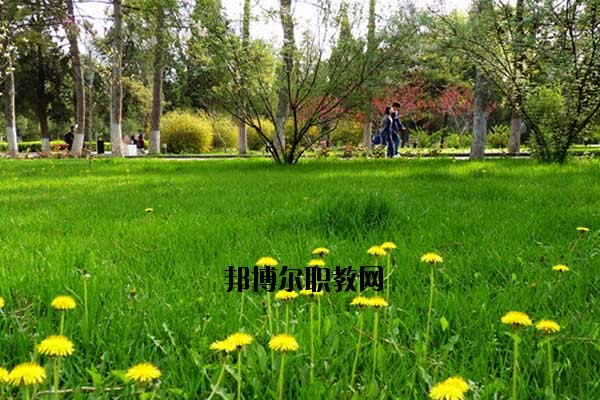 雙江縣職教中心2020年報(bào)名條件、招生要求、招生對(duì)象