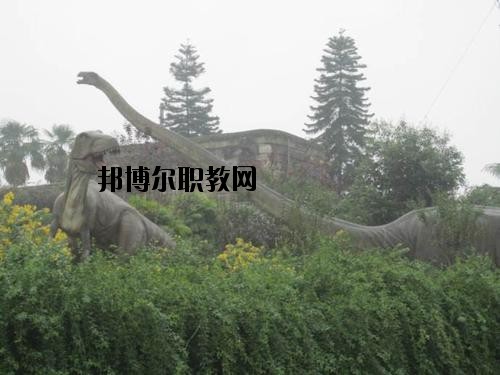 自貢三星職業(yè)技術(shù)學(xué)校2020年報(bào)名條件、招生要求、招生對(duì)象