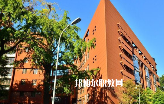 湛江湛港職業(yè)技術(shù)學(xué)校2020年報(bào)名條件、招生要求、招生對(duì)象