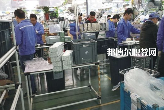 遂溪縣職業(yè)技術(shù)學(xué)校2020年報(bào)名條件、招生要求、招生對(duì)象