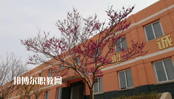 成縣化埡農(nóng)職業(yè)中學(xué)怎么樣、好不好