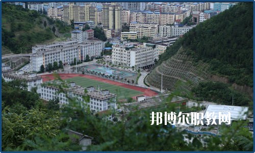 廣元朝天職業(yè)中學(xué)2020年報(bào)名條件、招生要求、招生對(duì)象