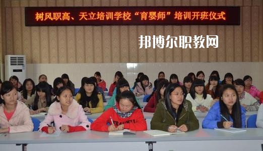 瀘州市樹風職業(yè)高級中學校地址在哪里