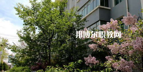 蘭州科技職業(yè)學院2021年招生辦聯系電話