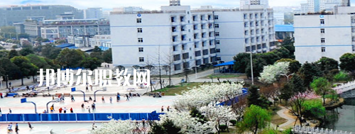 四川交通職業(yè)技術(shù)學(xué)院2022年報名條件、招生要求、招生對象
