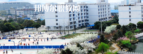 四川交通職業(yè)技術(shù)學院2022年招生辦聯(lián)系電話
