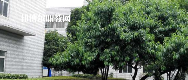 成都市中山職業(yè)技術學校2022年報名條件、招生要求、招生對象
