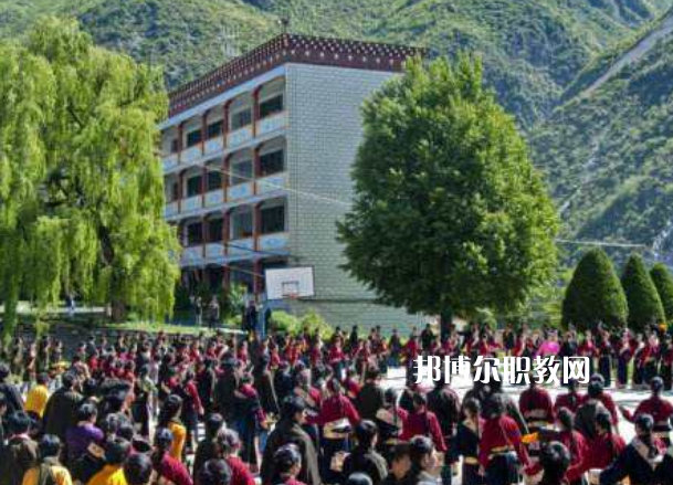 四川省藏文學校2022年報名條件、招生要求、招生對象