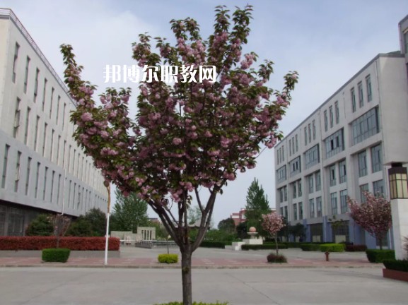 陳倉(cāng)區(qū)職業(yè)教育中心2022年報(bào)名條件、招生要求、招生對(duì)象