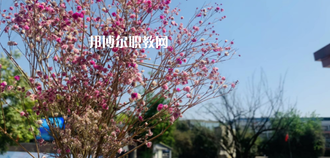 成都華大醫(yī)藥衛(wèi)生學(xué)校怎么樣、好不好