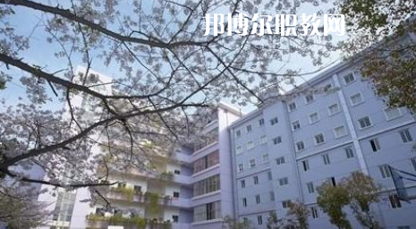 武漢體育舞蹈藝術學校2022年怎么樣、好不好
