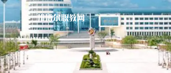 山東高職?？圃盒Ｅ琶?9強