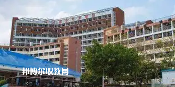 廣東高職專(zhuān)科院校排名10強(qiáng)