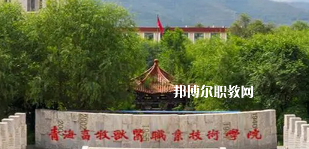 青海高職?？拼髮W(xué)2023年排名(文科)