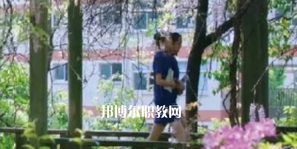 2023金華市成功學校招生計劃 招生人數是多少(附要求、條件、對象)