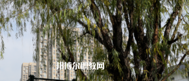 2023西安東方藝術(shù)職業(yè)學(xué)校多少錢 西安東方藝術(shù)職業(yè)學(xué)校各專業(yè)學(xué)費收費標(biāo)準(zhǔn)
