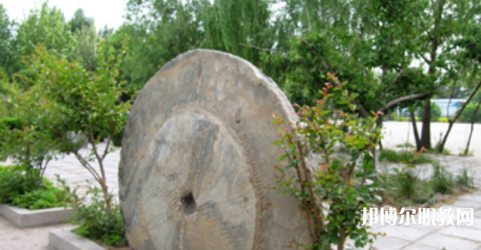 野風(fēng)美術(shù)中學(xué)怎么樣、好不好
