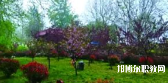 2023隆堯縣職業(yè)技術(shù)教育中心招生計劃 招生人數(shù)是多少(附要求、條件、對象)