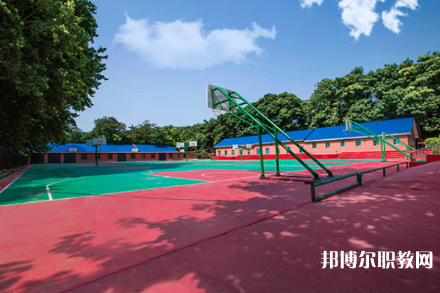 陜西2024年現(xiàn)在上什么中專(zhuān)學(xué)校好