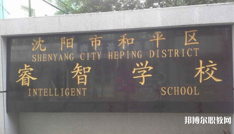 沈陽市和平區(qū)睿智學校怎么樣、好不好