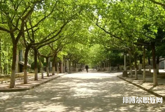 成都2025年讀鐵路學(xué)?？梢钥即髮W(xué)嗎